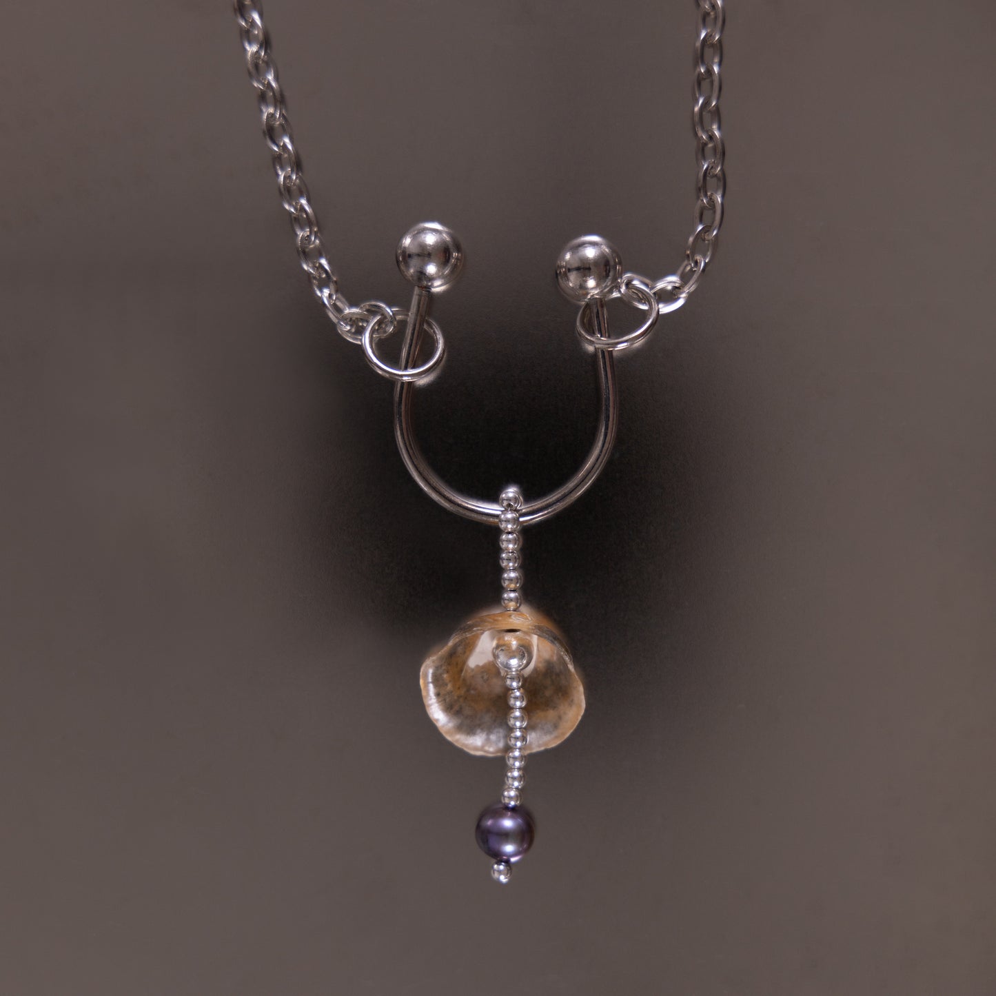 shell_01